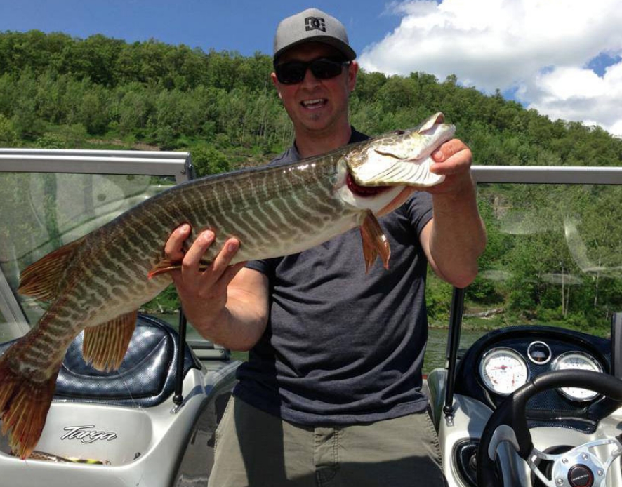 Man on a boat holding a large fish with striped scales, smiling under a clear blue sky with scattered clouds. Lush green forest in the background.