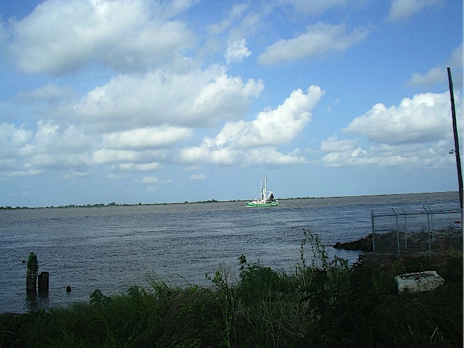 Calm river scene with a small green boat near the horizon, under a sky dotted with fluffy clouds. Foreground features grassy riverbank and wire fence.