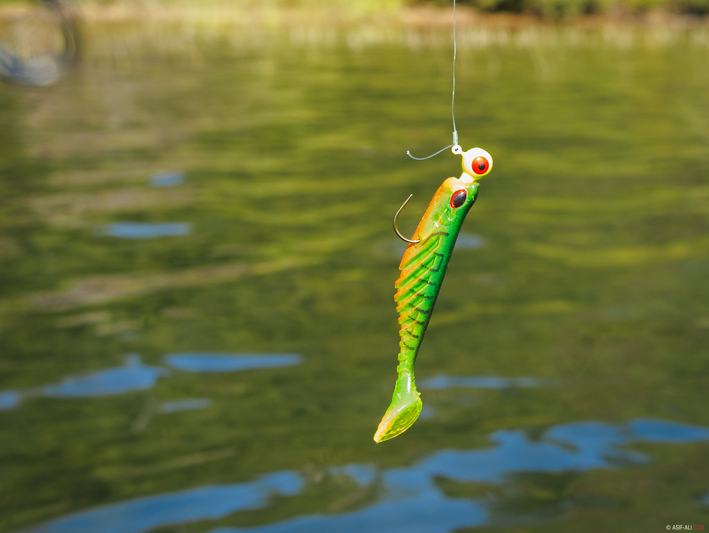 Colourful Fish bait.