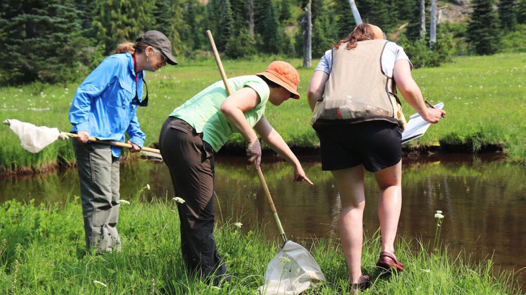 Three volunteers kneel beside a pond, using a dip net and clipboard to record species observations.