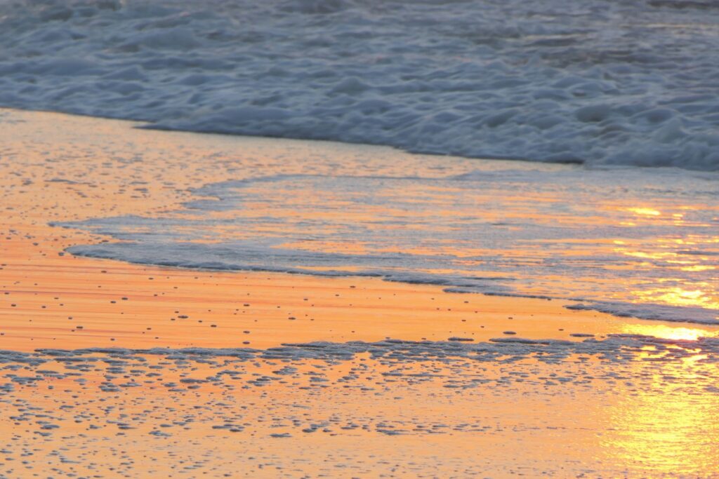 Sandy shore during sunrise.