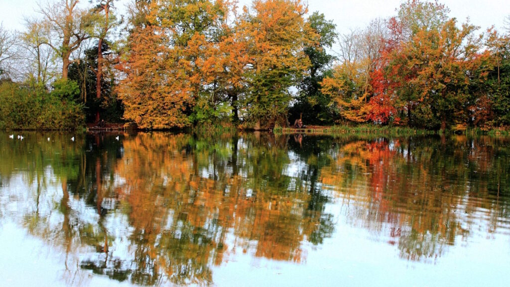 A still lake perfectly mirrors the colorful trees on its banks in autumn.