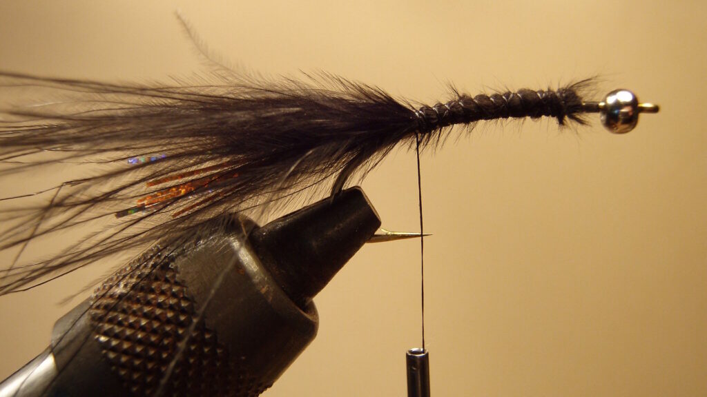 A close-up of a partially tied Woolly Bugger fly secured in a vise, showing tight thread wraps and a bead head.