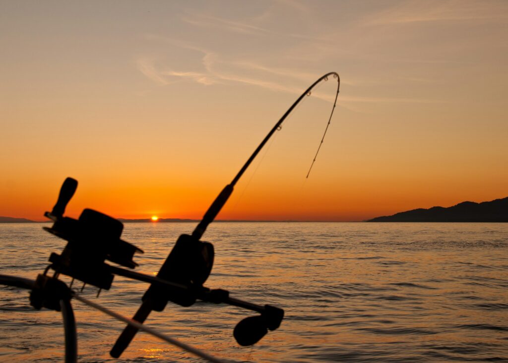 Black fishing rod and body of water during golden hour.