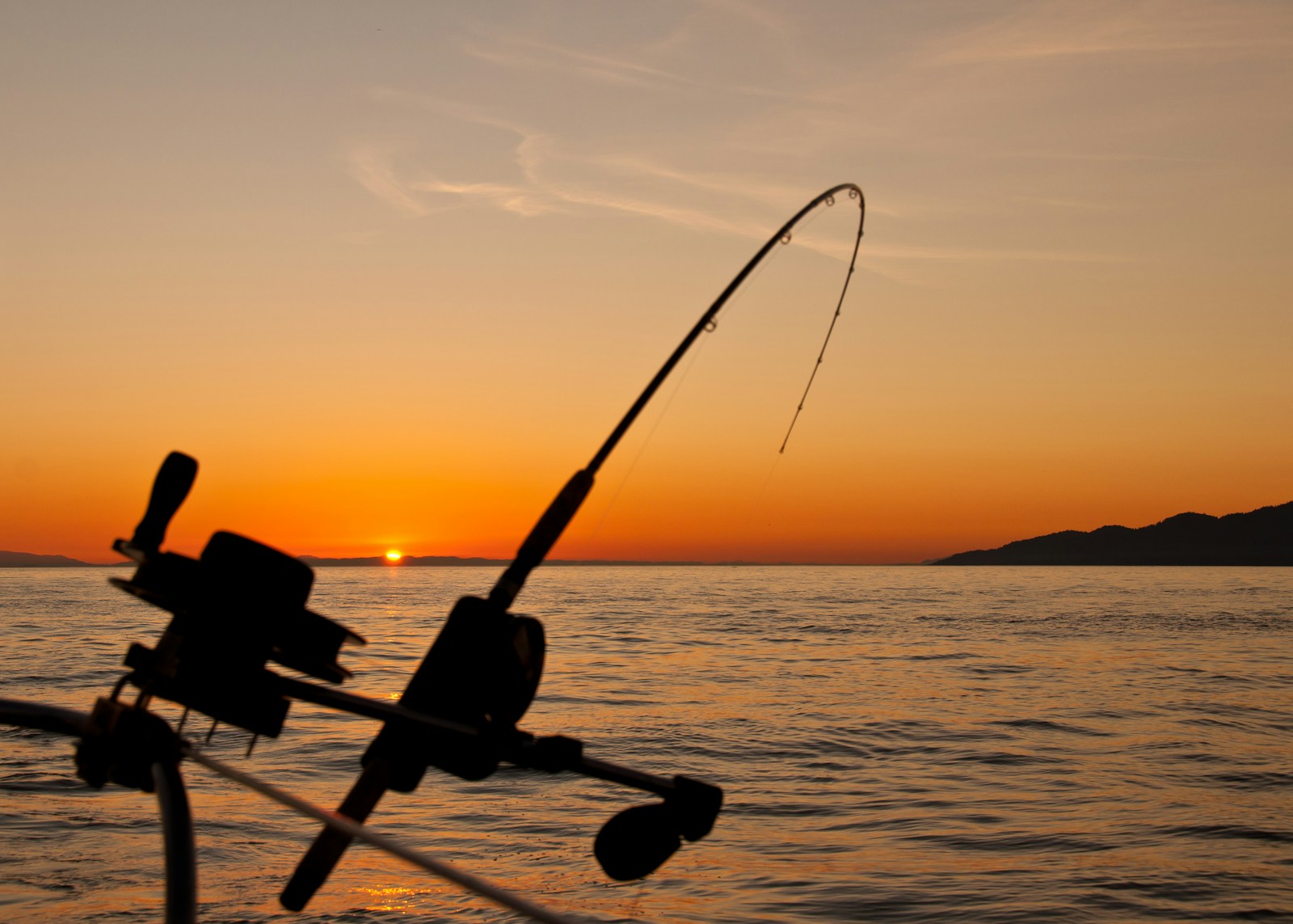 Black fishing rod and body of water during golden hour.