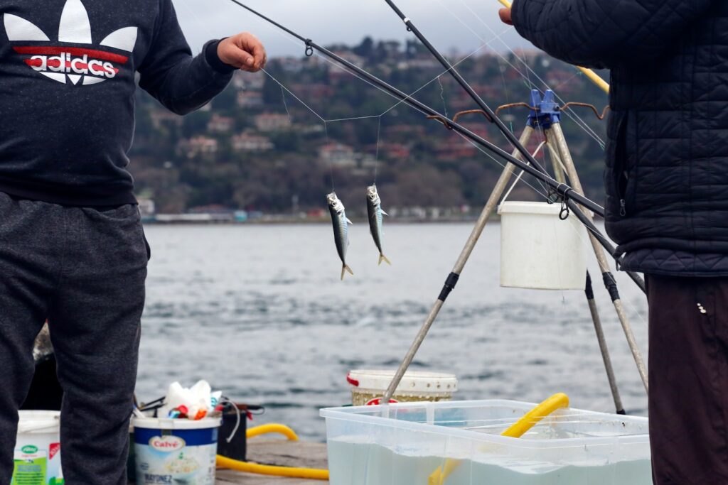 Person holding fishing rod and fish.