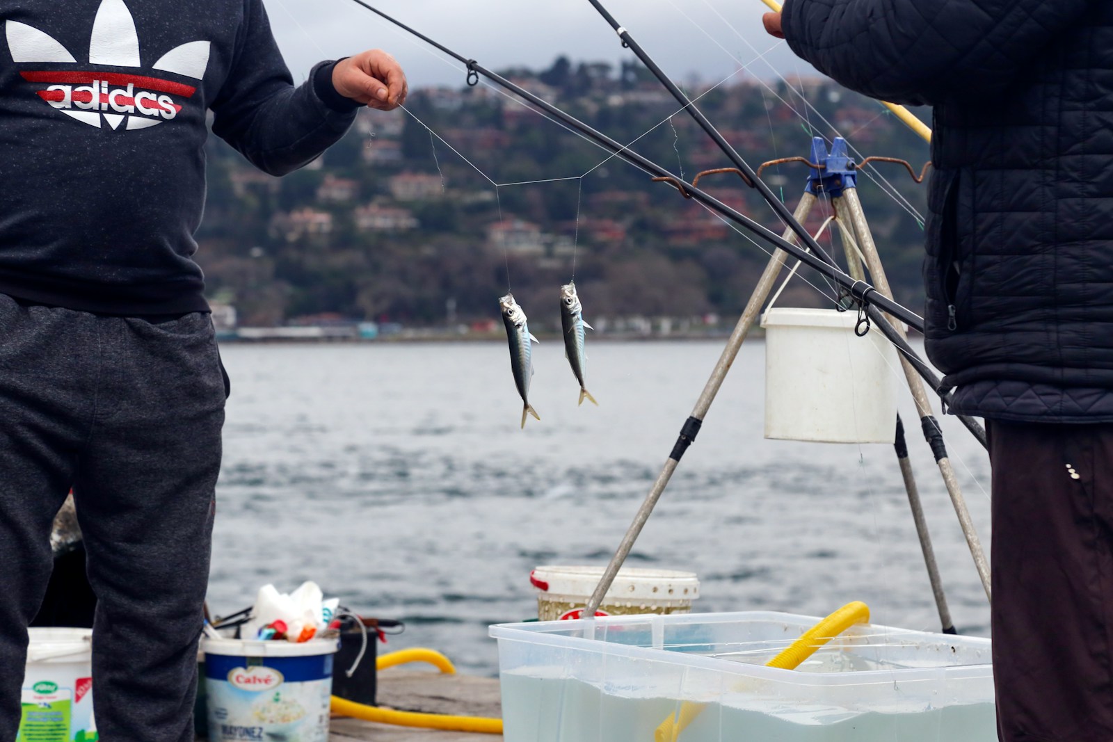 Person holding fishing rod and fish.