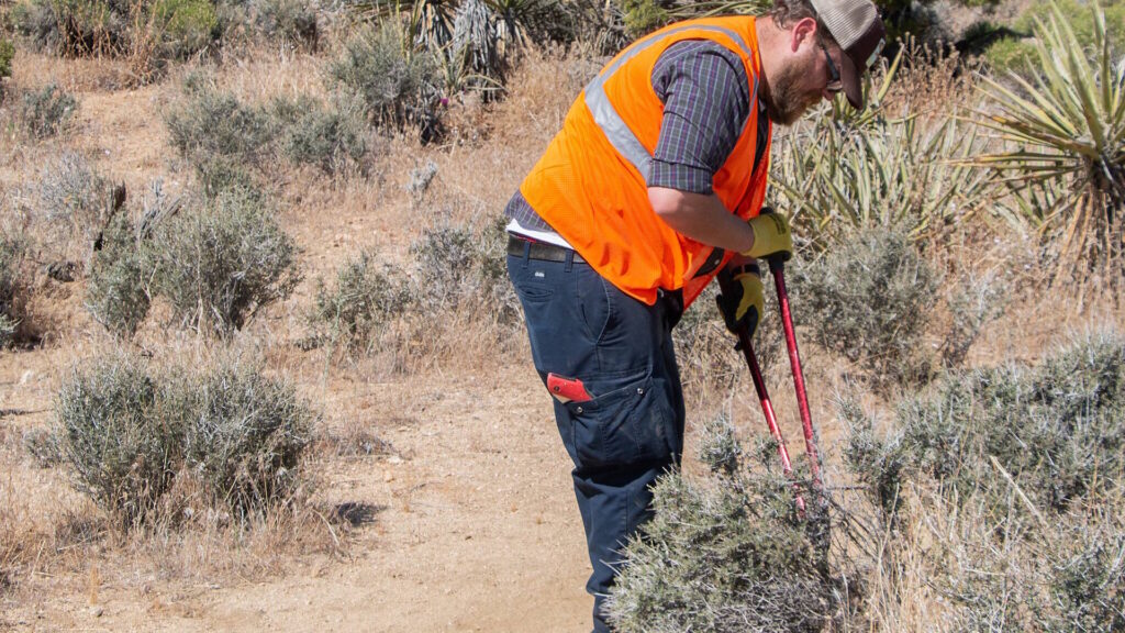A man in a safety vest and gloves uses tools to remove invasive plants in a dry, shrub-filled landscape.