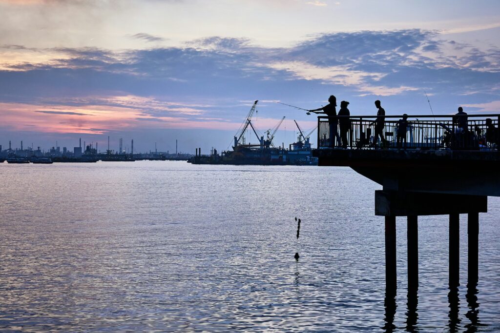 A group of people fishing on top of a pier.