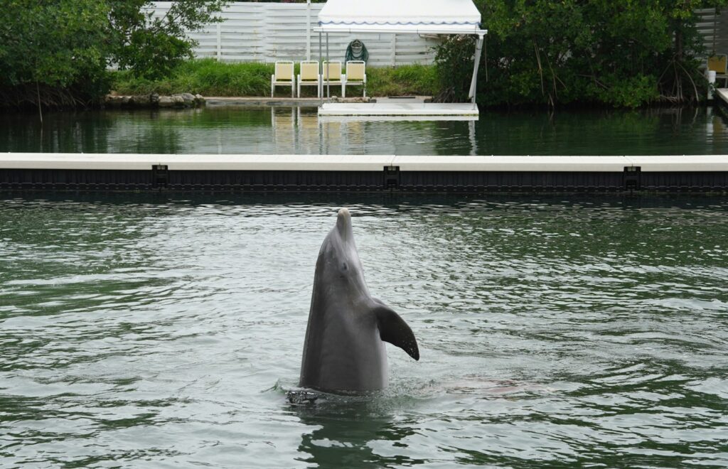 Islamorada, Florida: Sportfishing Capital of the World