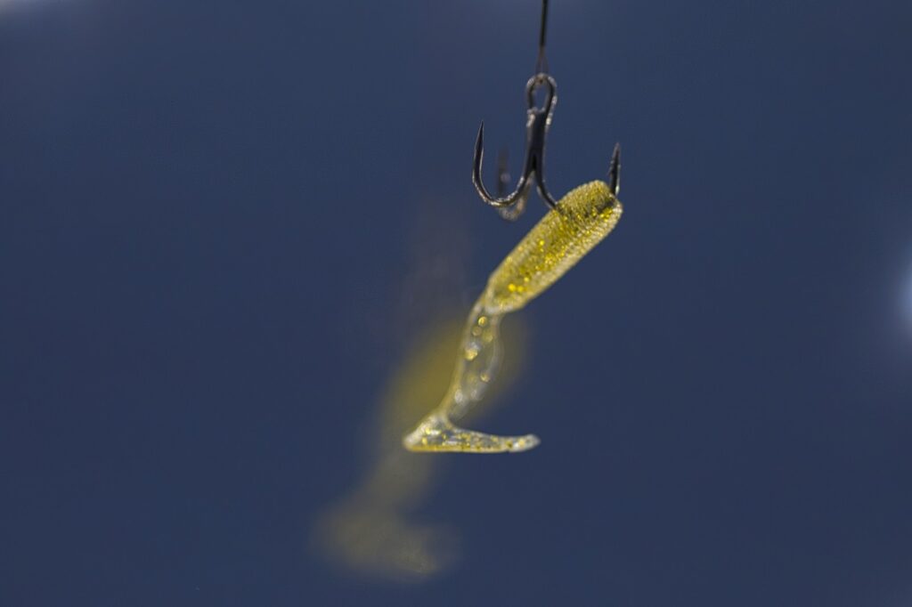 Live bait hanging from a fishing hook.