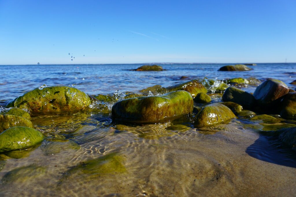 Study Tidal Influences in Coastal Waters