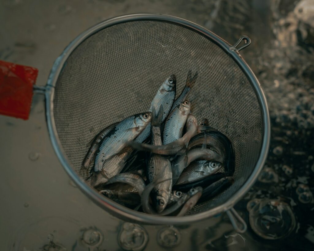 Lure Selection Simplified