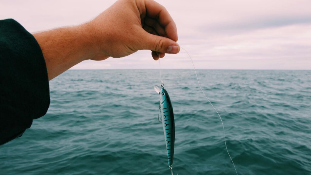 A person holding a blue and black fishing lure over the ocean.