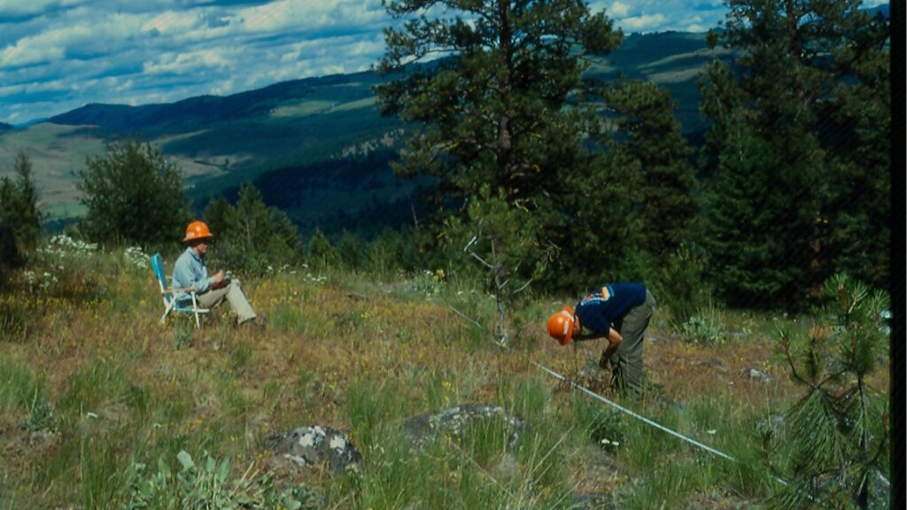 Researcher using a frame to assess plant cover in a grassy field.