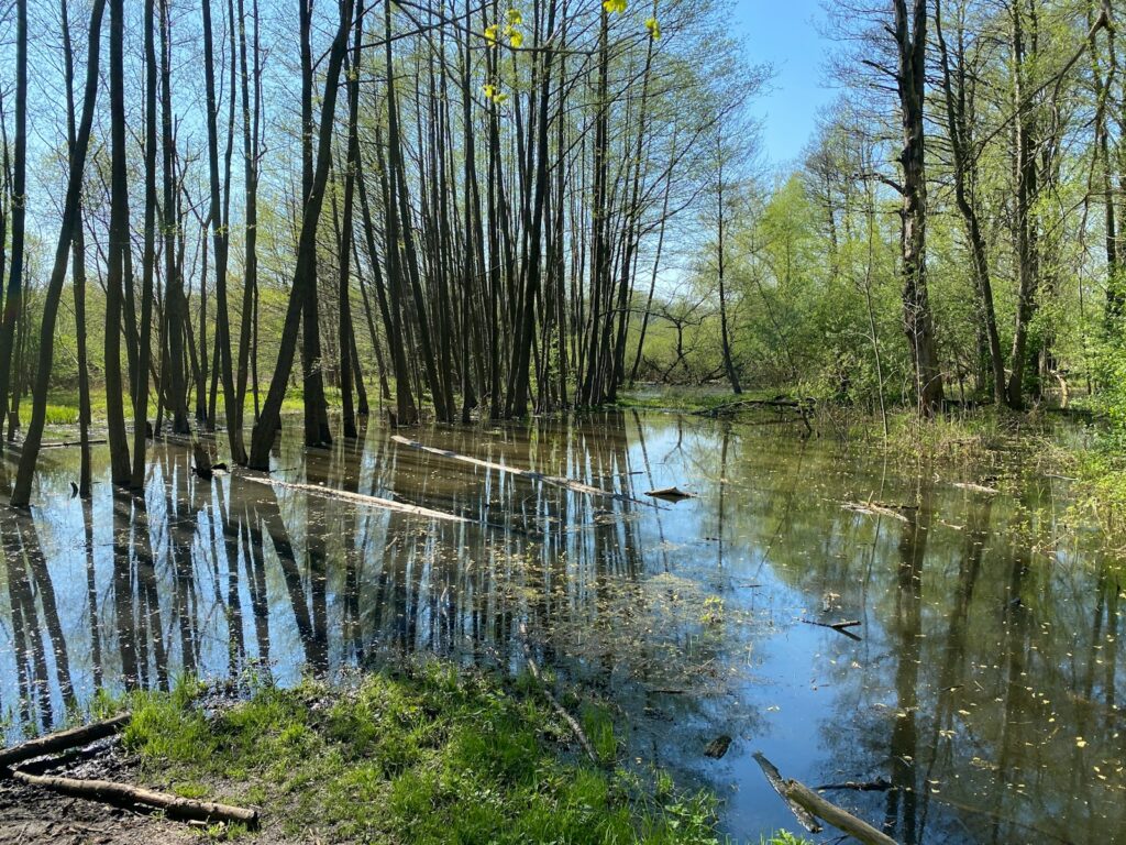Understanding Spring Flood Dynamics