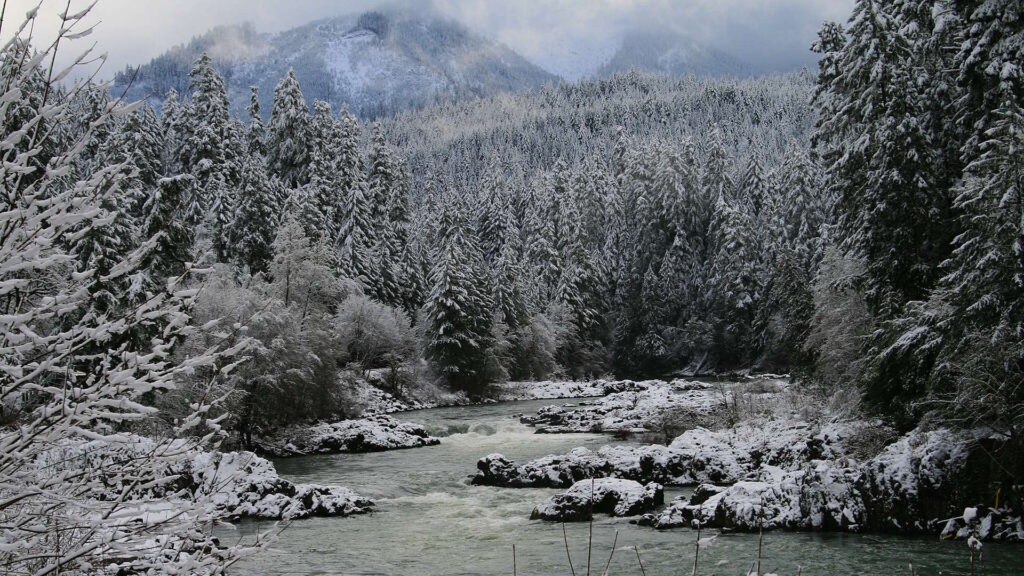 A cold river winds through a snow-covered forest with rugged rocks and misty mountains in the background.
