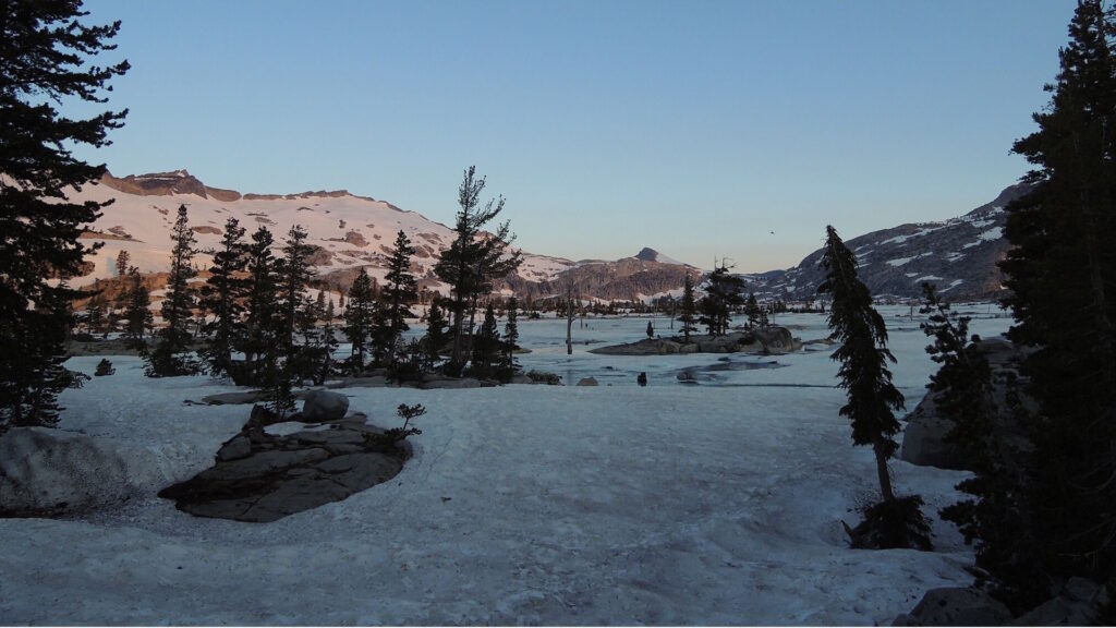 Snow-covered alpine landscape with scattered trees and distant mountains at sunset during the snowmelt season.