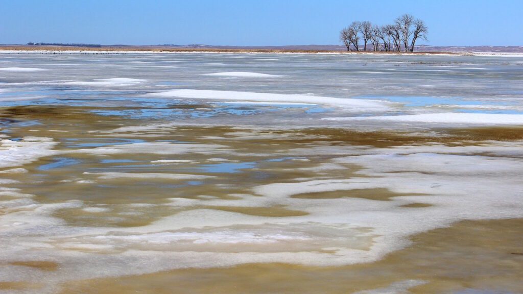 A partially frozen, muddy lake with patches of ice and open water, and a few bare trees