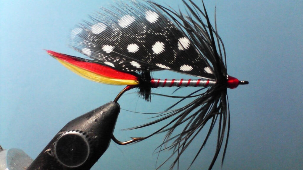 Classic streamer fly with a red and yellow tail, silver ribbed body, black hackle, and spotted guinea feather wing.