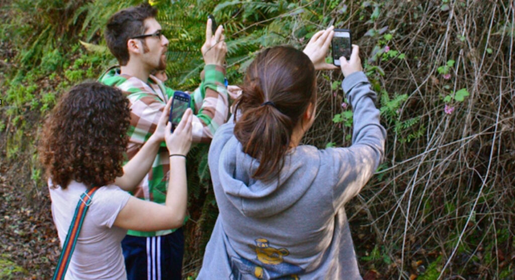 Using the iNaturalist app in the field