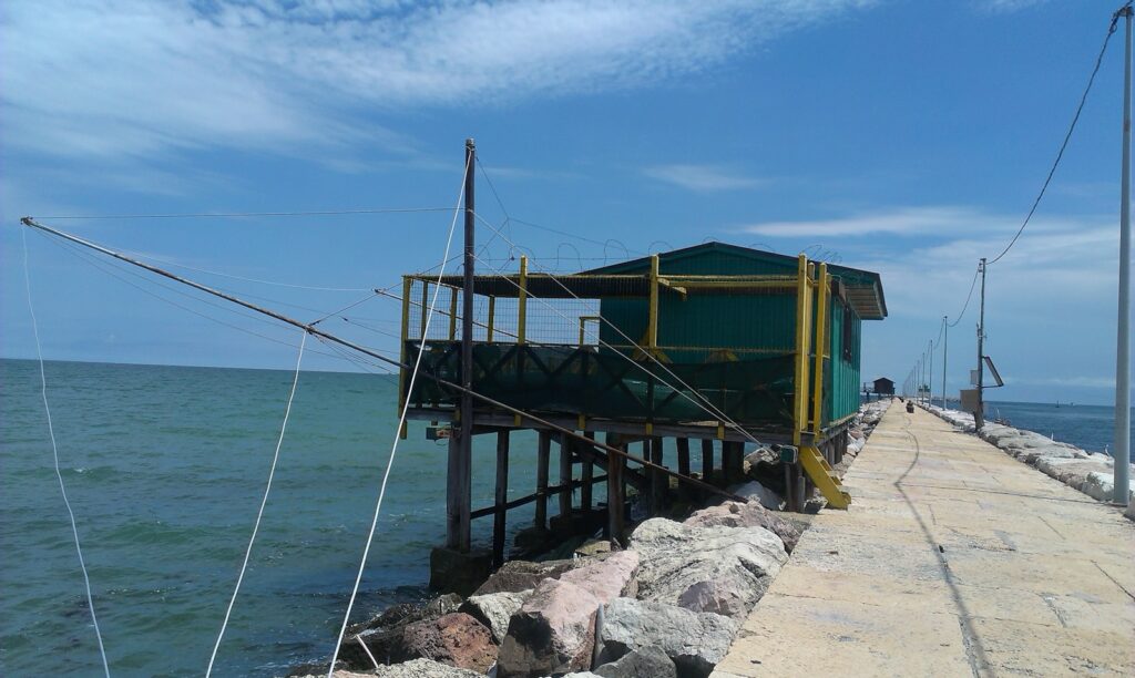 Shelter and Seating