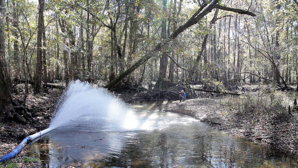 Water Flowing into Spring Creek, Georgia