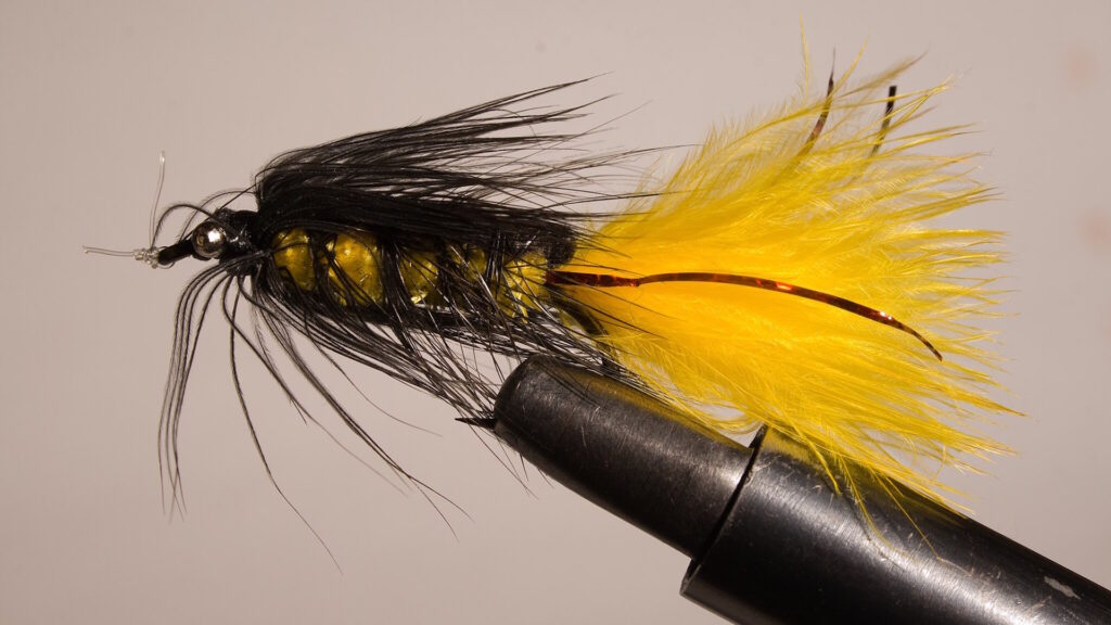 A close-up of a hand-tied Woolly Bugger fishing fly with a yellow tail, black hackle, and bead head, secured in a vise.