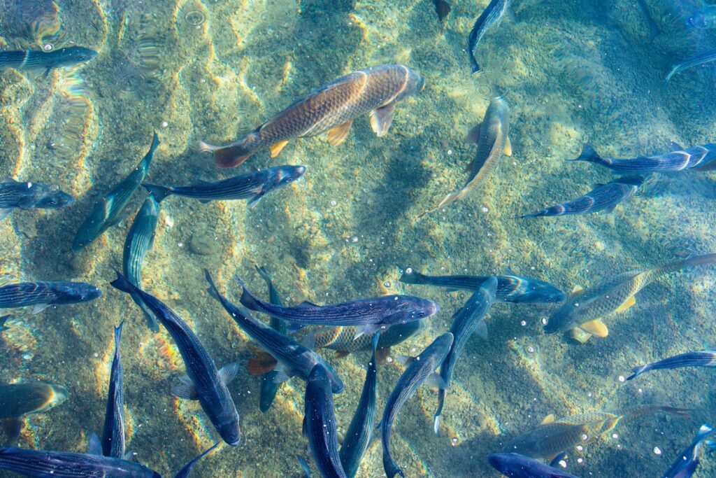 Species-Specific High Water Strategies