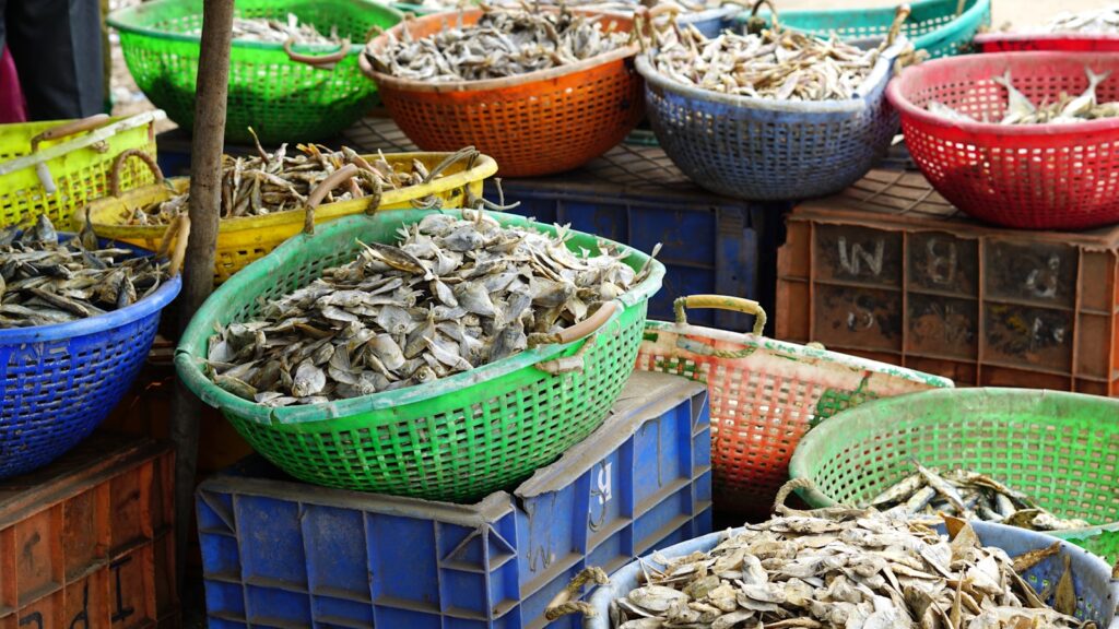Choose Eco-Friendly Fishing Products