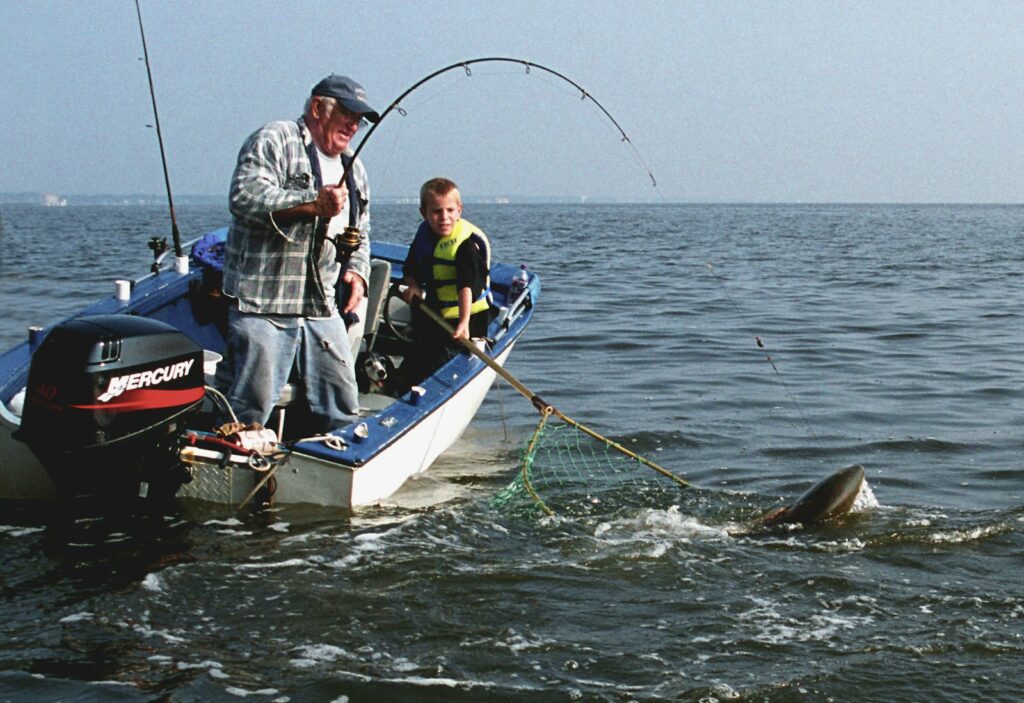 Fishermen catch a fish from a boat in the sea.