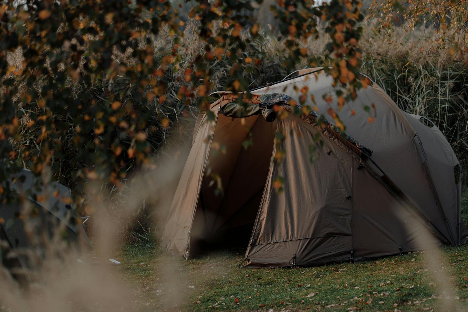 Tent set amidst autumn foliage offers a serene outdoor camping experience.