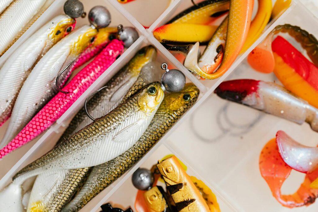 What Bait Works Best for Fly Fishing - Fishing Adventures Guide
