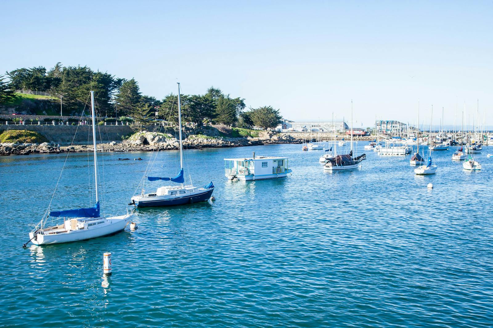 Scenic view of sailboats in Monterey Harbor with calm waters and lush greenery on a clear day.