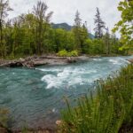 The Elwha River from within Olympic National Park in May 2022.