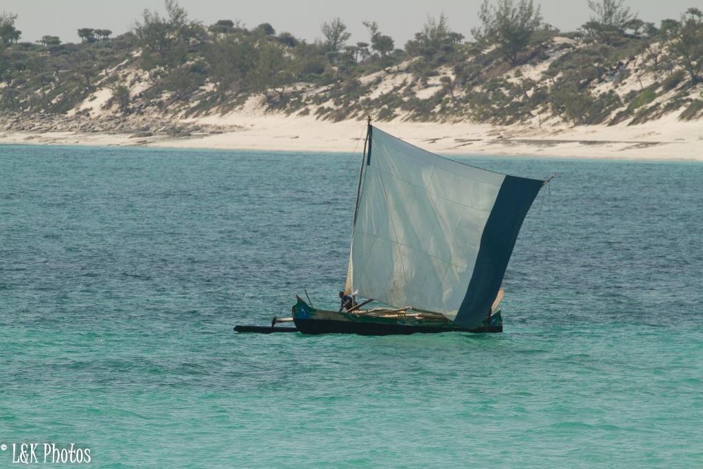 A small sailboat with a blue sail glides on turquoise waters near a sandy, tree-lined shore, creating a serene and tranquil coastal scene.