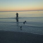 A person stands in shallow ocean water at sunset, casting a fishing net. Two seagulls fly nearby, and the sky is a gradient of soft pink and blue.