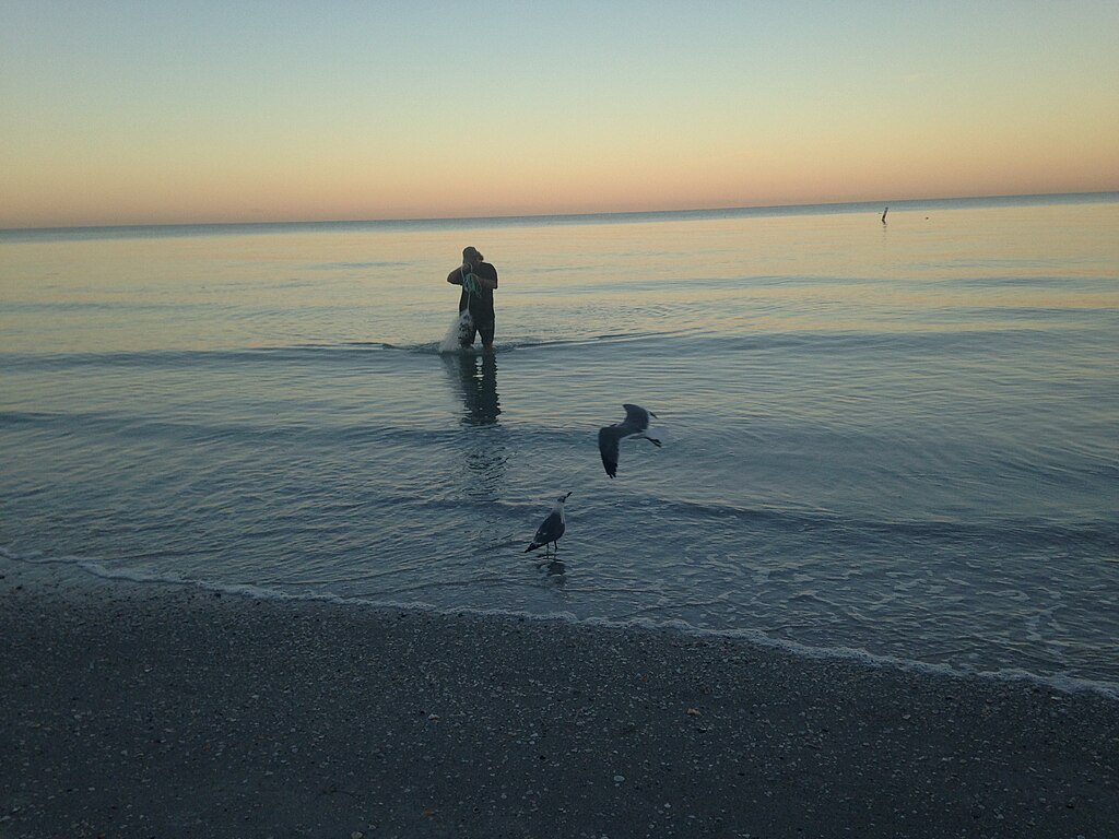 A person stands in shallow ocean water at sunset, casting a fishing net. Two seagulls fly nearby, and the sky is a gradient of soft pink and blue.