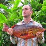 A man in a striped shirt holds a large red snapper fish, standing in front of lush green tropical foliage. He has a proud expression.