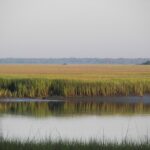The marsh views from Hunting Island have become representative of the South Carolina Lowcountry.