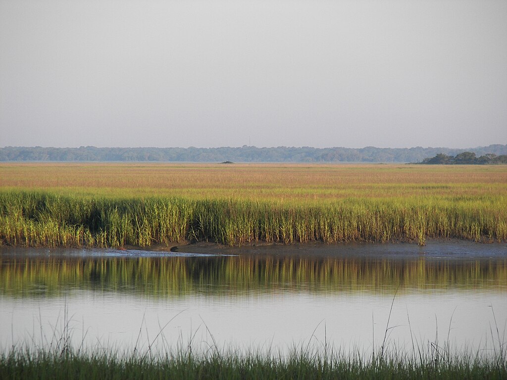 The marsh views from Hunting Island have become representative of the South Carolina Lowcountry.