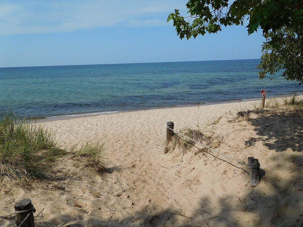 Sandy beach with tufts of grass leading to a calm, blue ocean under a clear sky. A wooden fence and leafy branches frame the tranquil scene.