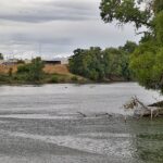 Calm river scene with overcast skies, lush green trees on the right bank, and industrial buildings in the background. Branches dip into the water, adding interest.