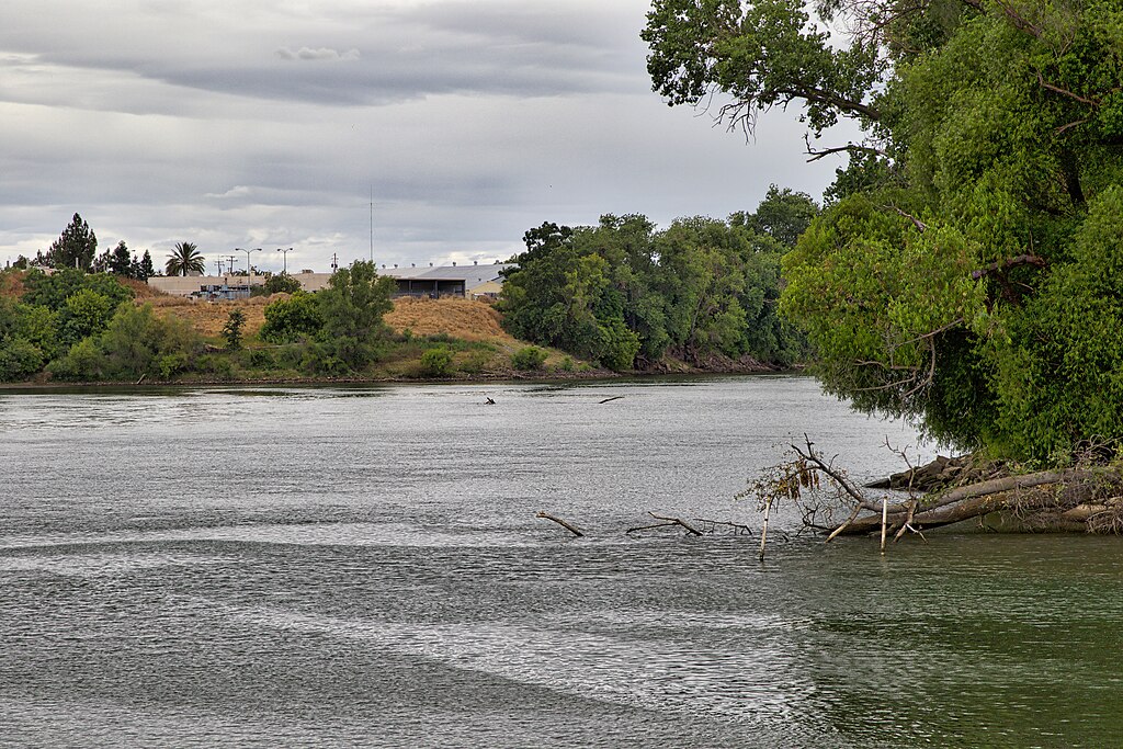 Calm river scene with overcast skies, lush green trees on the right bank, and industrial buildings in the background. Branches dip into the water, adding interest.