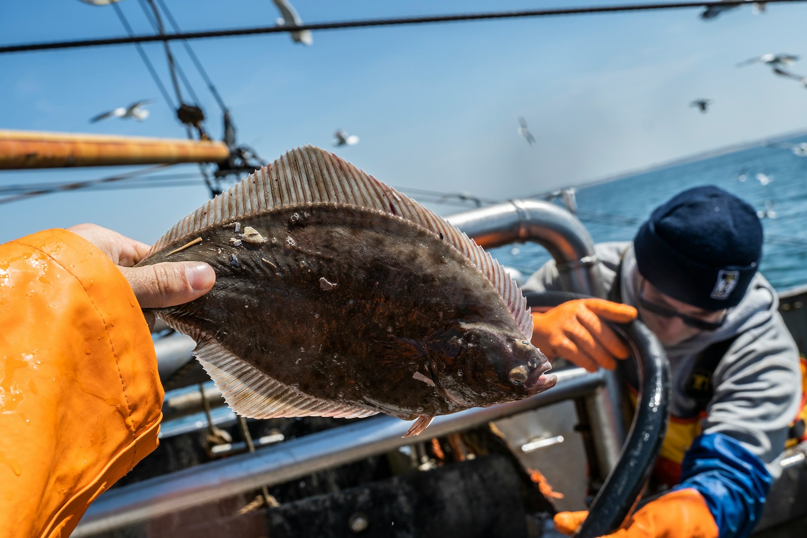 A person holding a flounder on a boat.