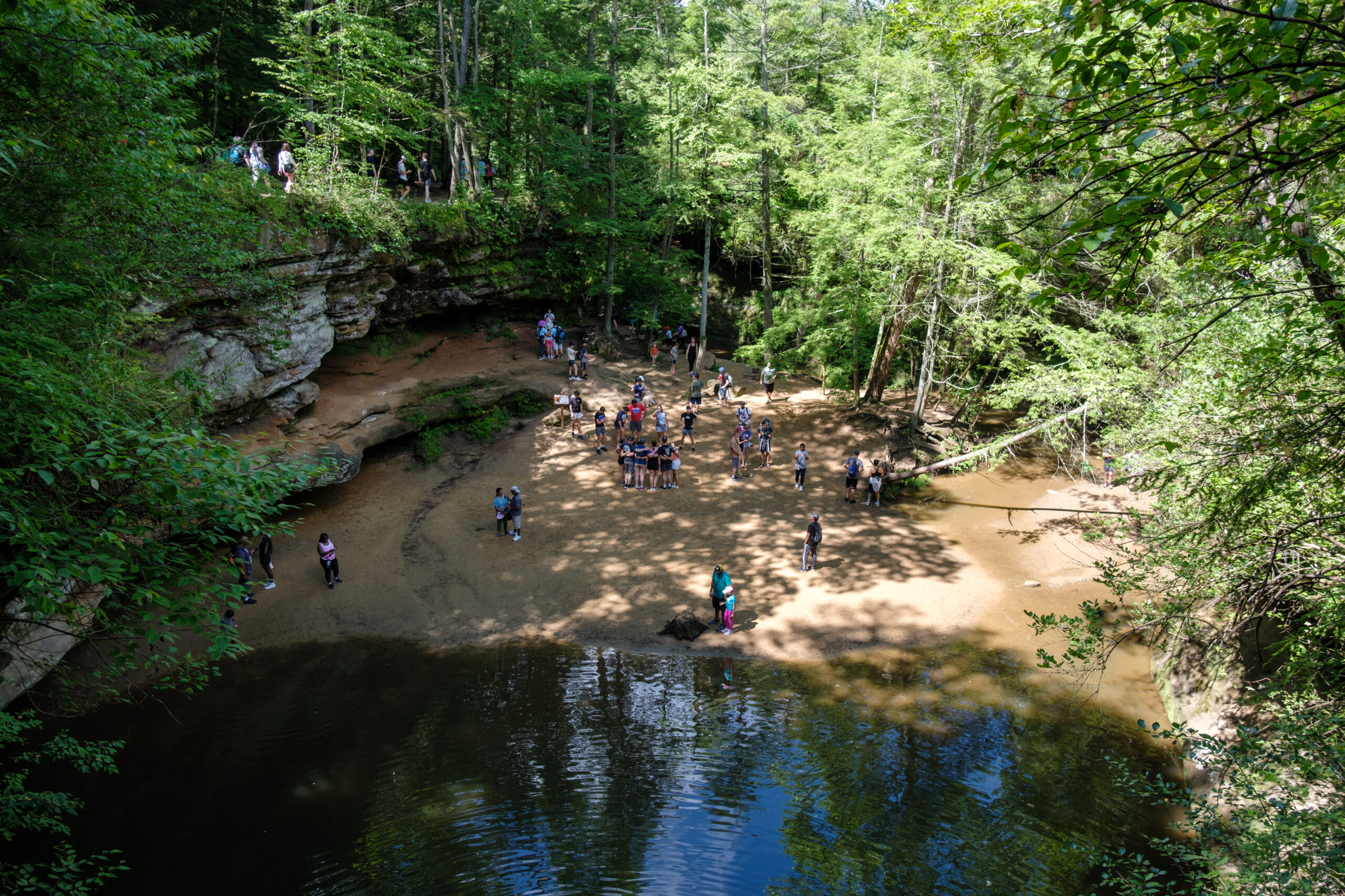 Aerial view of a forest clearing with a group of people gathered on sandy ground by a reflective pond. Surrounded by lush green trees, it conveys a serene, lively outdoor atmosphere.
