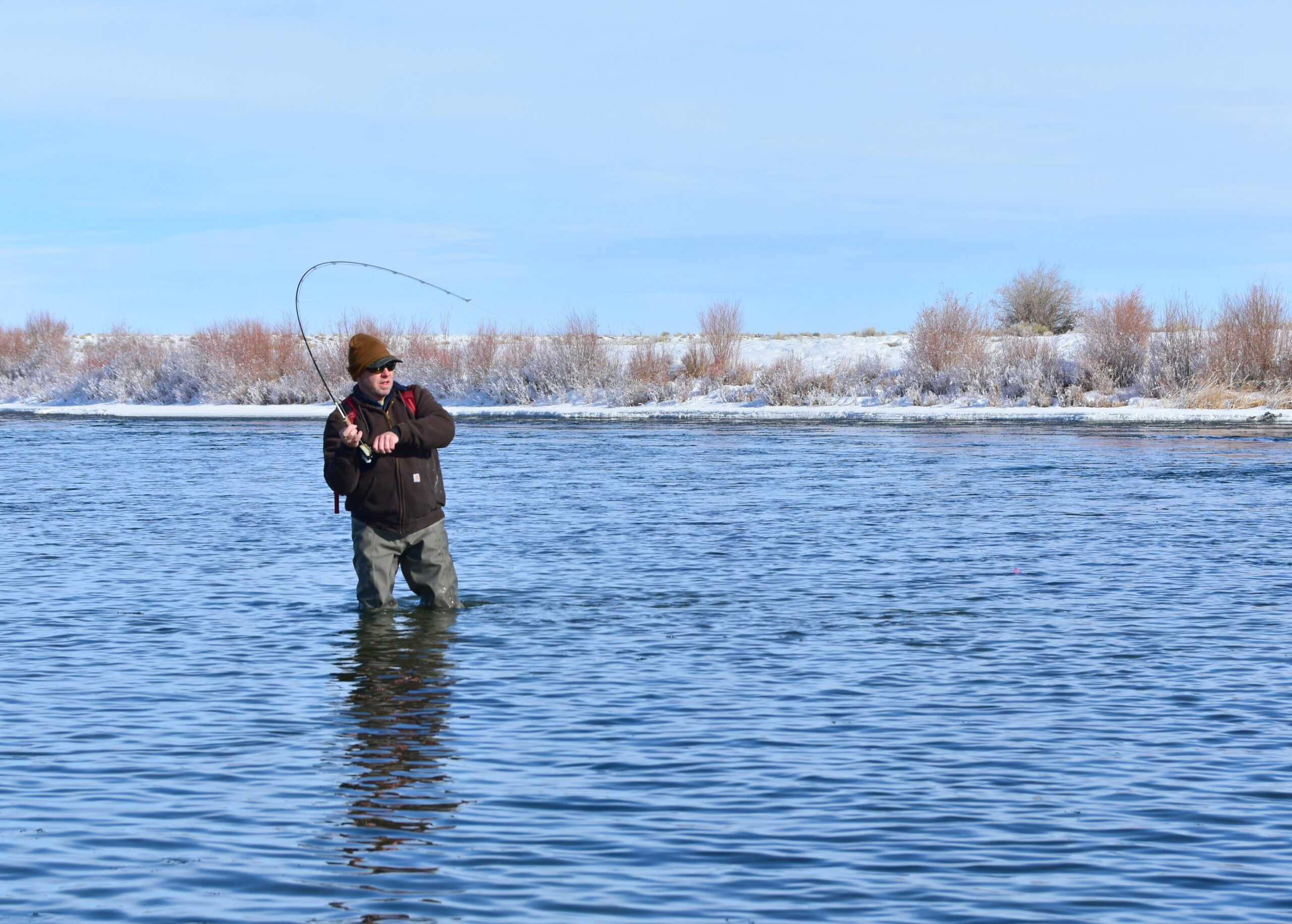 Man in waders fly-fishing in a river on a crisp winter day, surrounded by snow-dusted bushes. He is focused, holding a bent fishing rod.