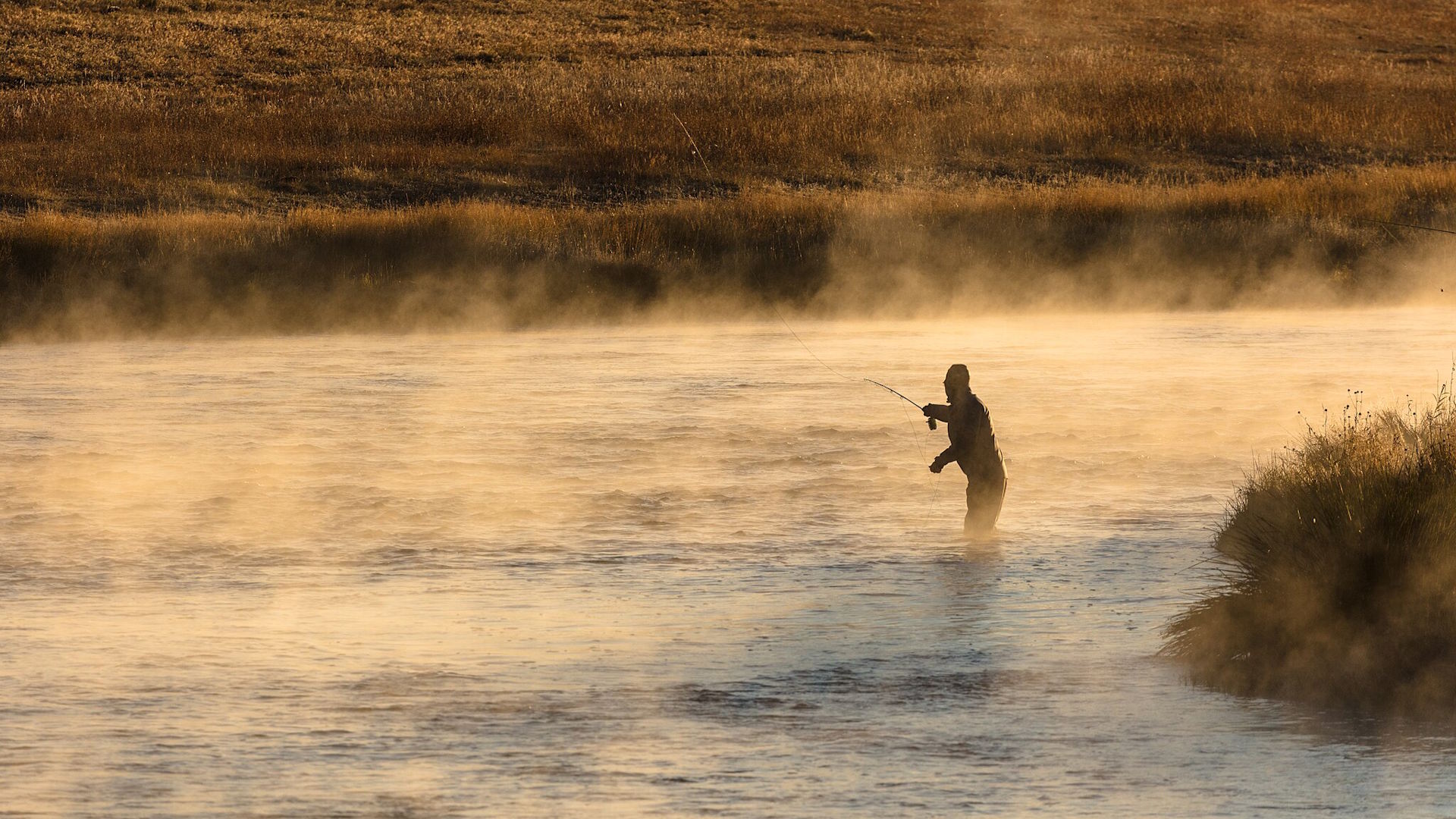 An angler fly fishing in a misty river during early morning in autumn.