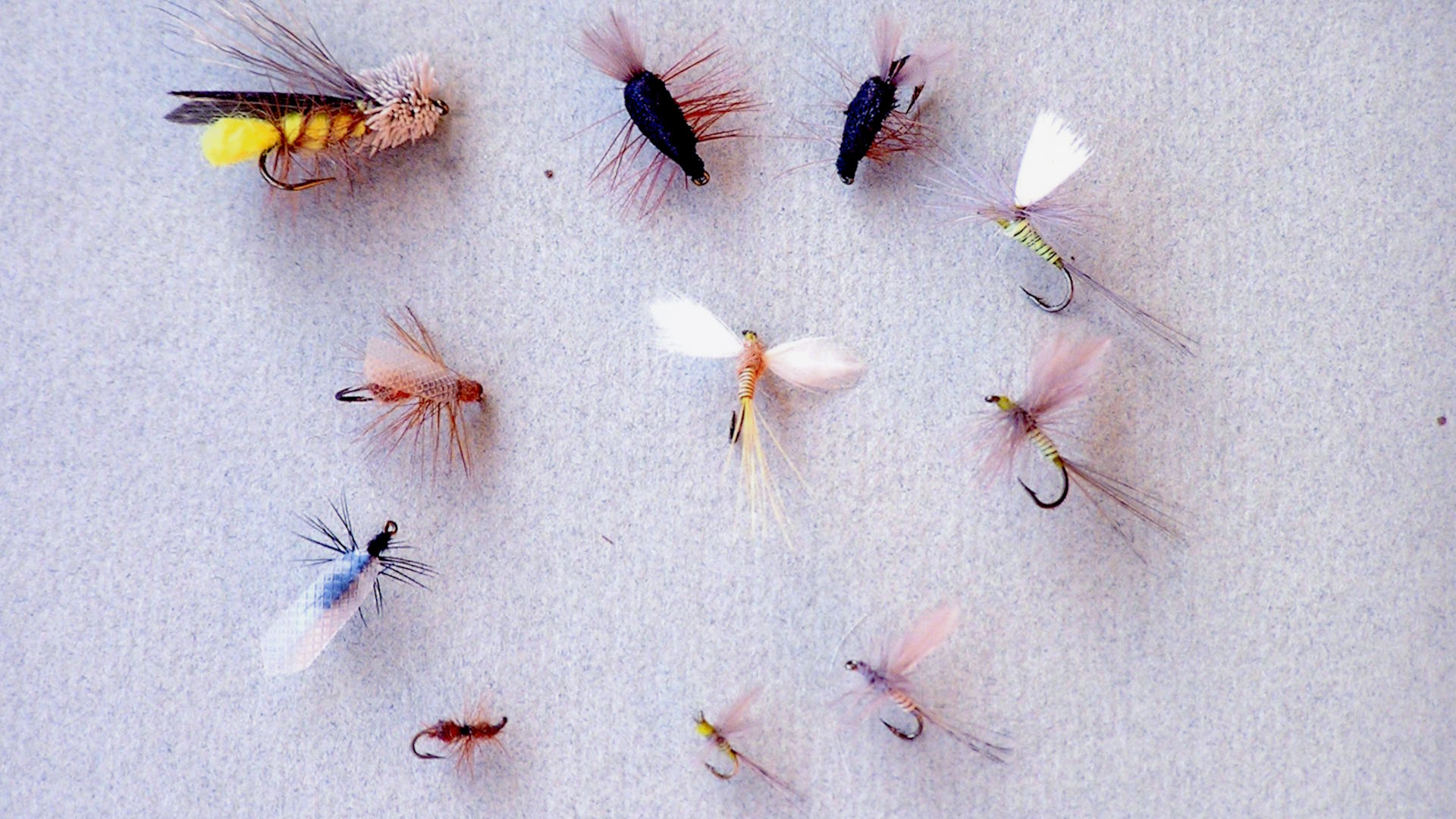 A collection of various hand-tied fishing flies arranged on a light surface, showcasing different styles and patterns.