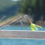 Fishing lure.